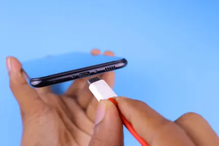 Casino Mobile Wins Mobil App